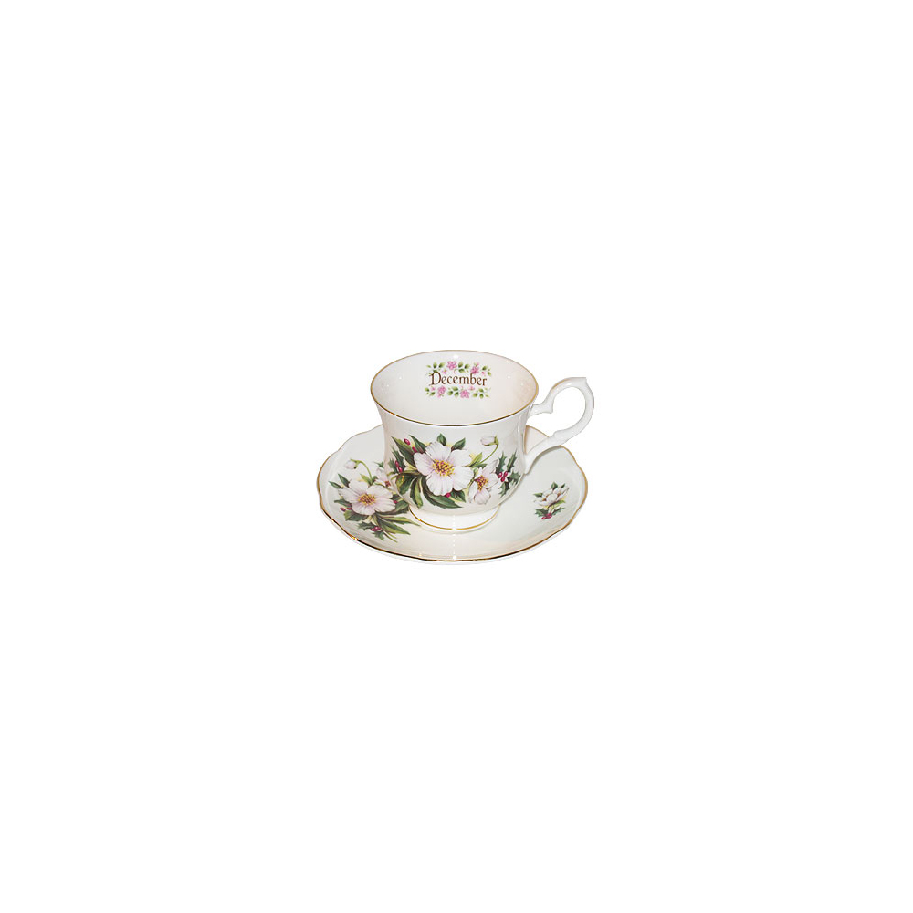 Flower of the Month, December - Cup and Saucer