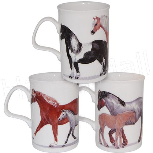 HORSES ARABIAN Gift Boxed Fine China Full Colour Mug SHETLAND 