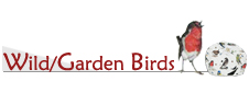 Wild/Garden Birds