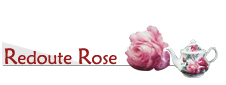 Redoute Rose