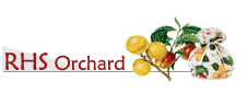 RHS Orchard